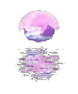 portal